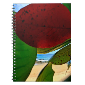 Carnet d'inspiration tropicale