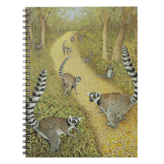 Carnet Dire des contes (Devant)