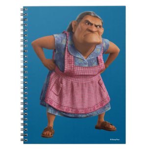 Carnet Disney Pixar Coco Abuelita Grande-mère drôle