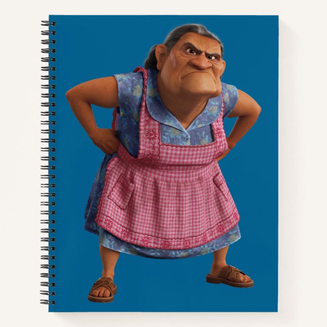 Carnet Disney Pixar Coco | Abuelita | Grande-mère drôle (Devant)