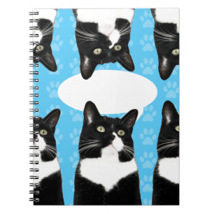Carnet Dites Ce Triple Cute Kitty Fun Chat Photo Art