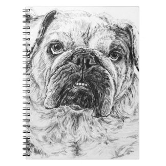 Carnet DIVA Lilybug