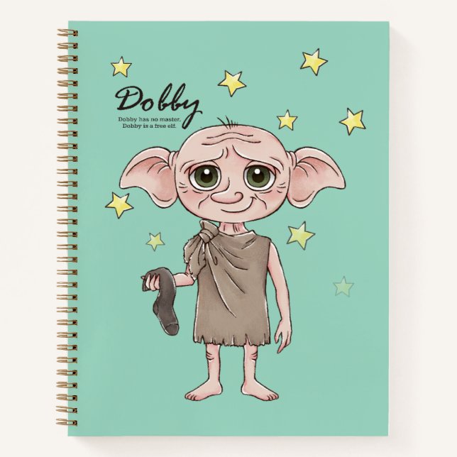 Carnet Dobby Art de personnage à l'aquarelle (Devant)