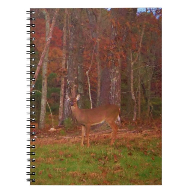 Carnet Doe a Deer in Lake Arrowhead (Devant)