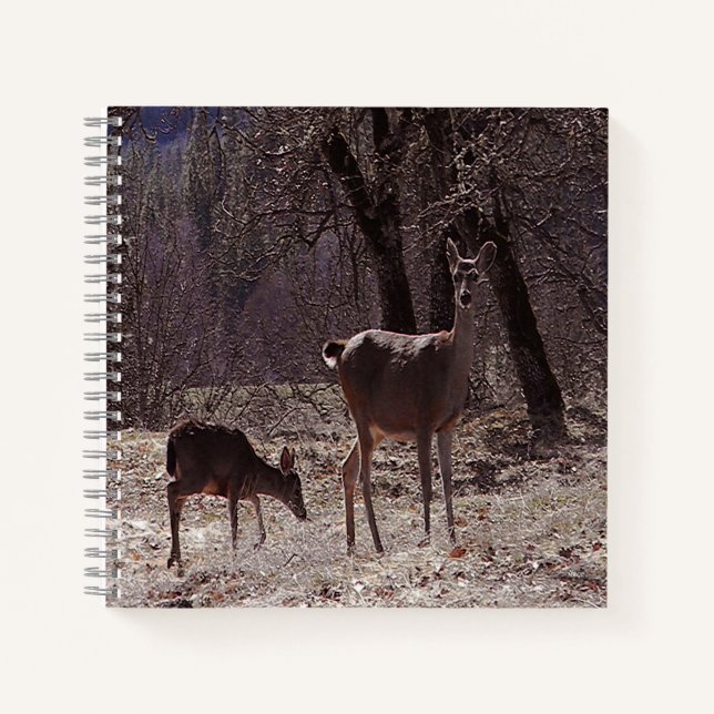 Carnet Doe et fawn.... (Devant)