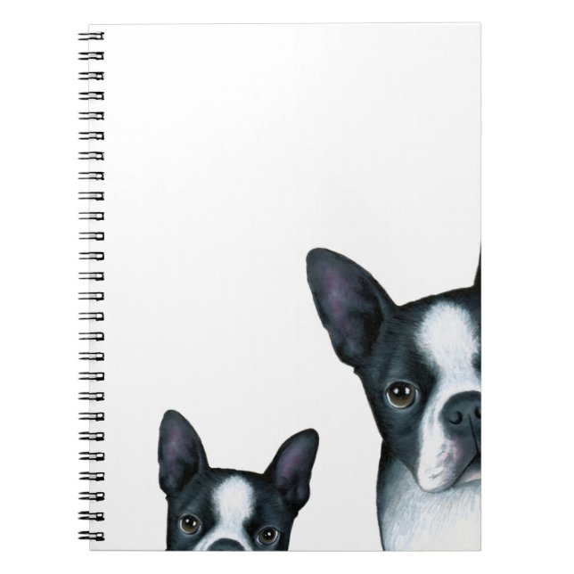 Carnet dog 128 Boston Terrier (Devant)