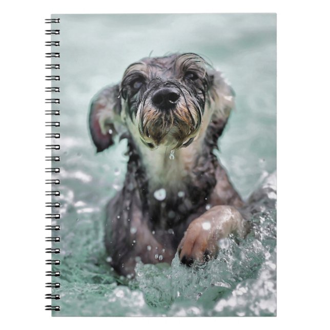 Carnet Doggy Paddle mignon chien nager (Devant)