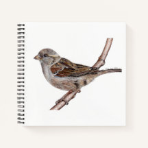 Carnet d'Oiseau du Bruant (Passer Domesticus)