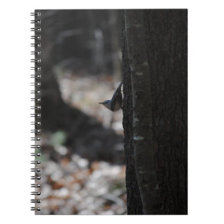 Carnet d'oiseaux