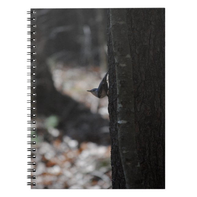 Carnet d'oiseaux (Devant)