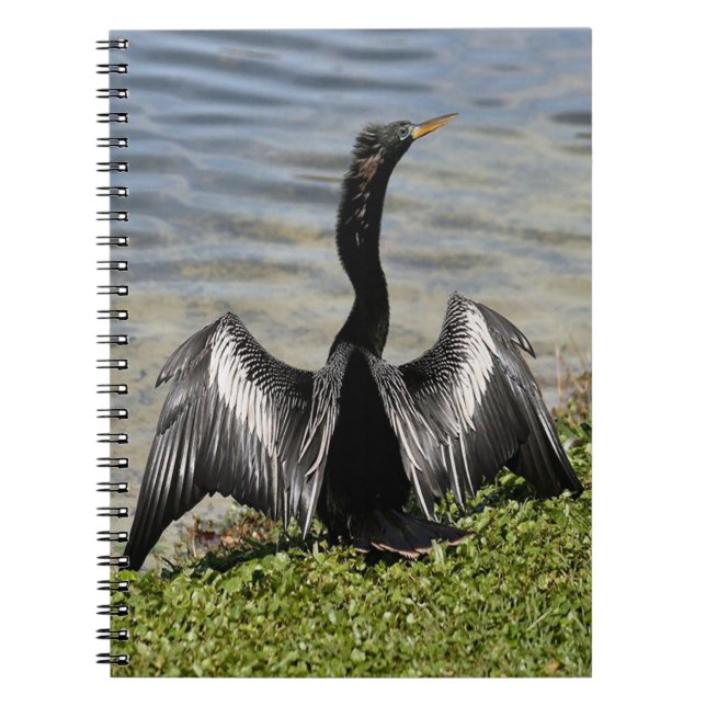 Carnet d'oiseaux d'Anhinga (Devant)
