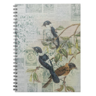 Carnet d'oiseaux victoriens Vintages bleus   Éléga