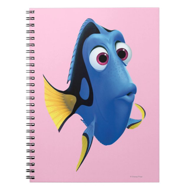 Carnet Dory 4 (Devant)
