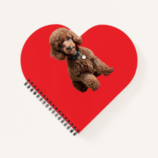 Carnet Dossier Rouge Caniche Tasse Mignon