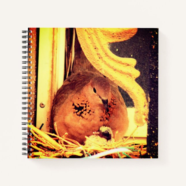 Carnet Doting Mama Dove (Devant)