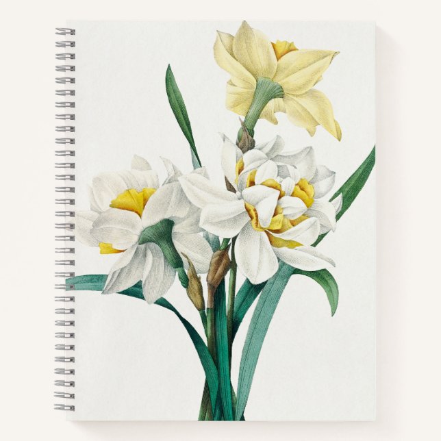 Carnet Double Daffodil,  Pierre-Joseph Redouté, 1827 (Devant)