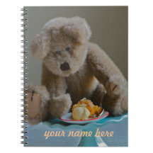 Carnet d'ours de nounours