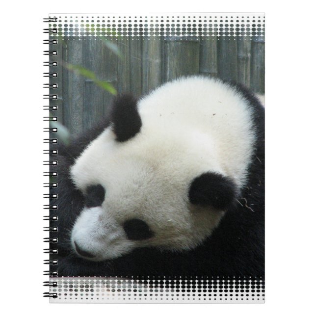 Carnet d'ours panda (Devant)