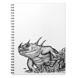 Carnet Dragon sur le rocher