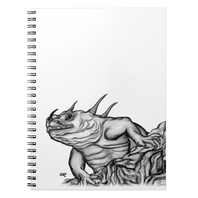 Carnet Dragon sur le rocher (Devant)