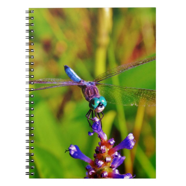 Carnet Dragonfly (Devant)
