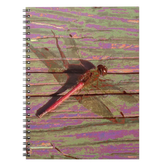Carnet Dragonfly (Devant)
