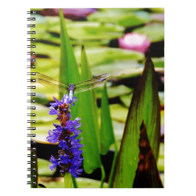 Carnet Dragonfly lotus and purple flower (Devant)