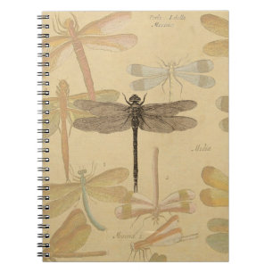 Carnet Dragonfly Vintage Antique Classic Nature