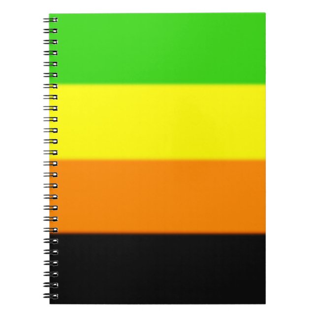 Carnet Drapeau de la Fierté Aromantique (Devant)