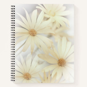 Carnet 'Dreamy Daisies 2'