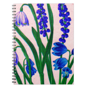Carnet drêches à neige et scilla