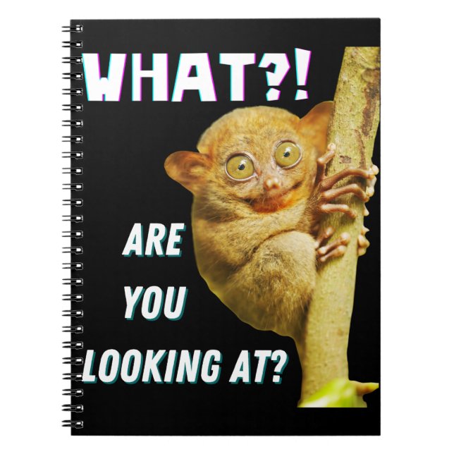 Carnet Drôle Big Eyed Tarsier Ce que vous regardez (Devant)