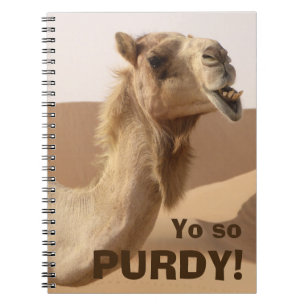 Carnet Drôle Camel Purdy Photo