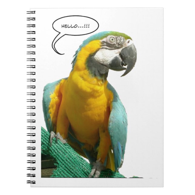 Carnet drôle de perroquet parlant (Devant)