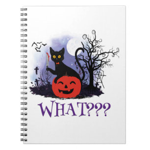 Carnet Drôle Halloween Bewitched Chat noir Quoi?
