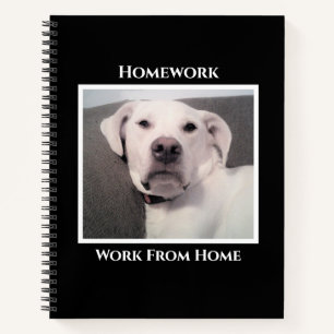 Carnet Drôle Mignon Grincheux Chien Blanc Noir Devoir