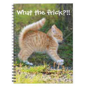 Carnet Drôle Surpris Ginger Kitten. Quelle merde ?
