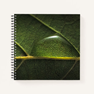 Carnet Droplets feuille