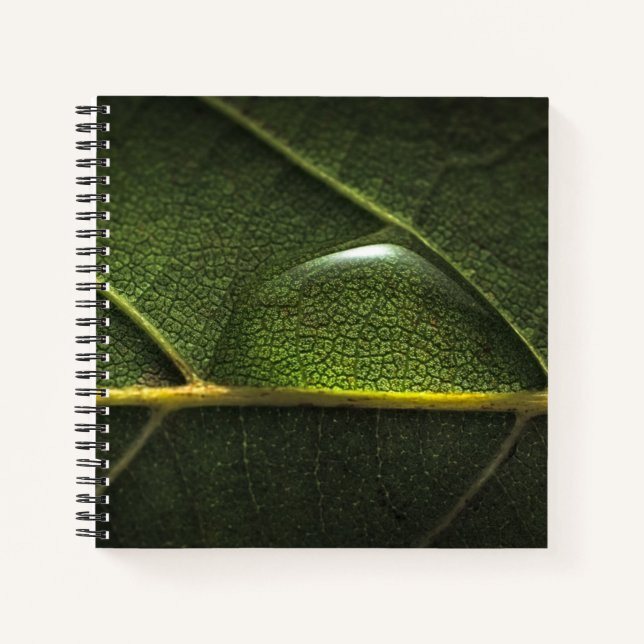 Carnet Droplets feuille (Devant)