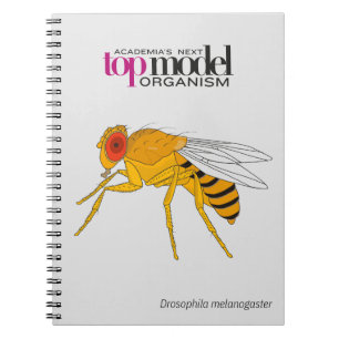 Carnet Drosophila spiral notebook