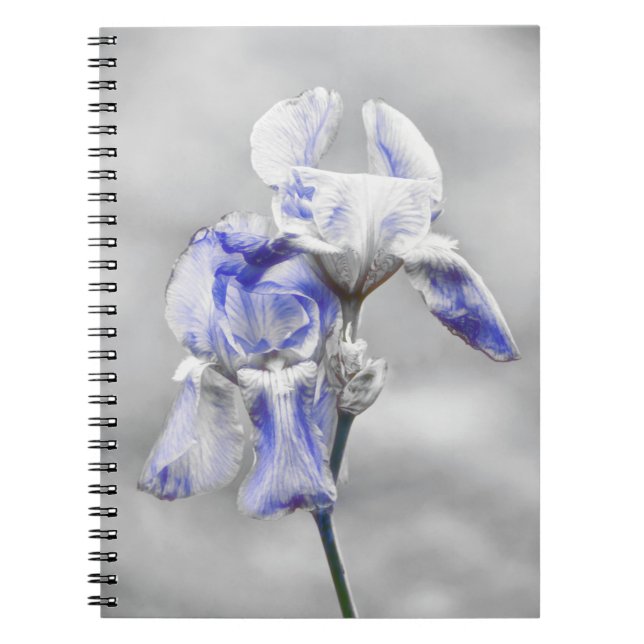 Carnet du Journal d'art gris bleu Iris (Devant)