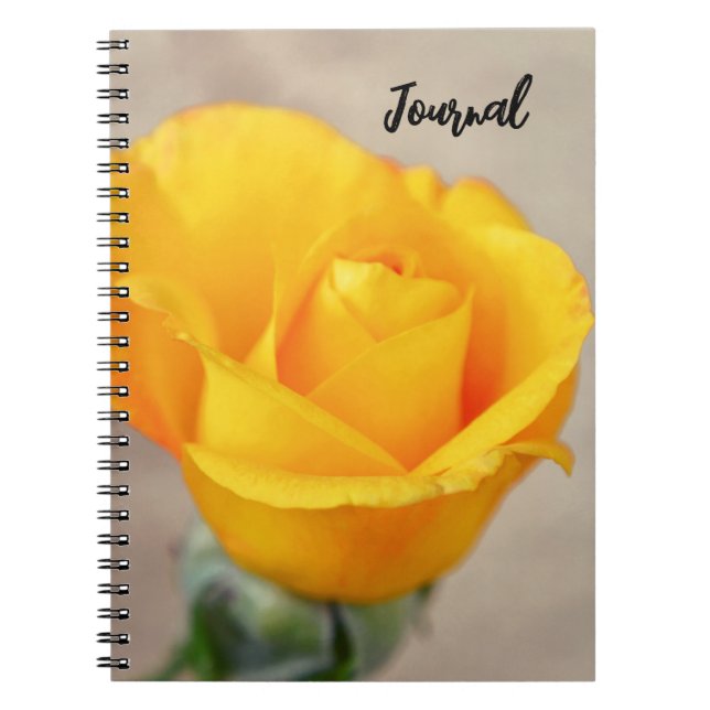 Carnet du Journal de l'Art Rose Jaune (Devant)