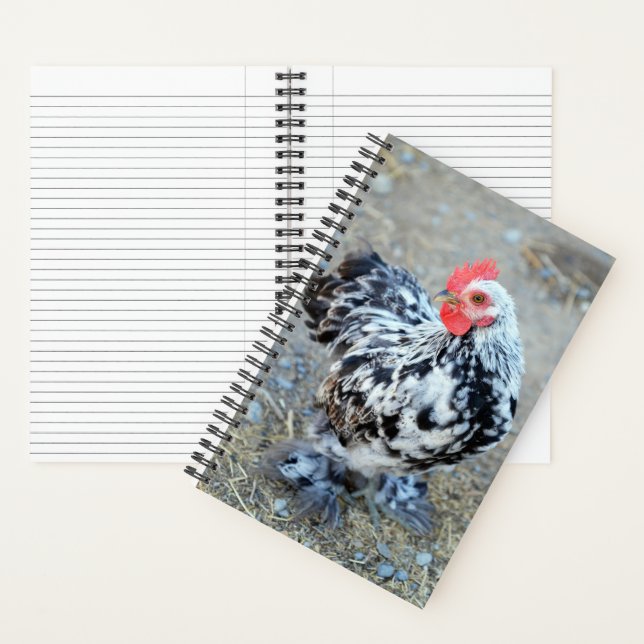 Carnet du Journal du poulet Bantam Cochin en boute (À l'intérieur)