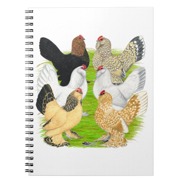 Carnet D'Uccles Six Hens (Devant)