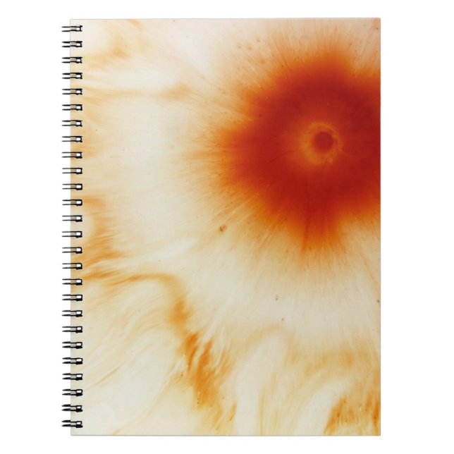 Carnet Eau (Devant)