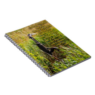 Carnet Eau vive John 4 Inspiration