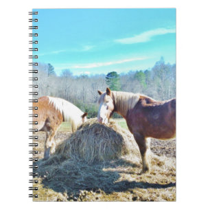 Carnet Ébauche secourue Chevaux mangeant foin