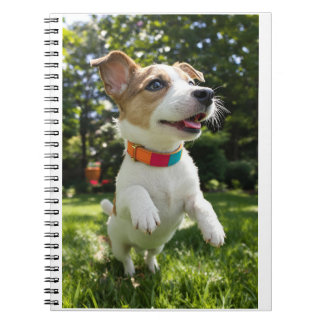 Carnet Éclat de Joie Canine