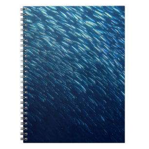 Carnet École de poisson sous-marin Abstrait
