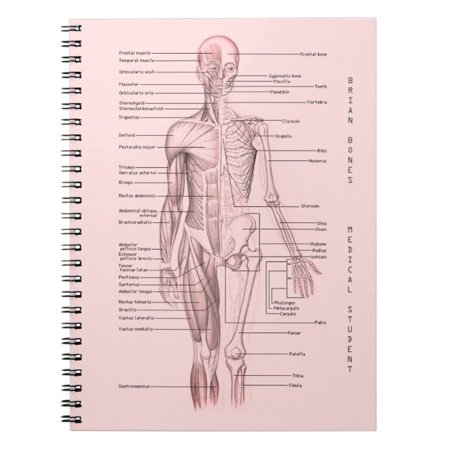 Carnet École personnalisée par diagramme Médicale humain (Devant)